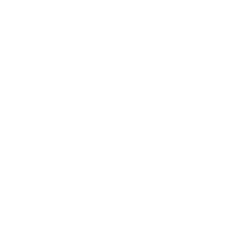 Complimentary Portfolio Review - 2