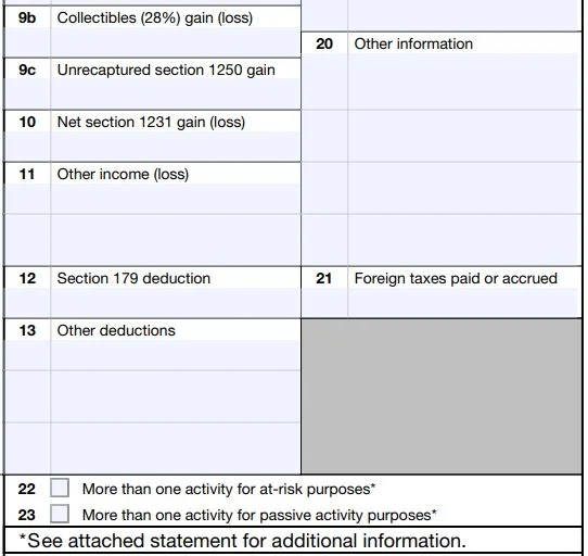 K-1 Tax Form for dummies: clear, easy guide (with screenshots!) - 10 K-1 Tax Form for dummies: clear, easy guide (with screenshots!) - 9