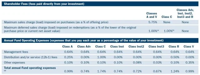 Mutual fund fees can be sky high - know when you’re overpaying! - 3